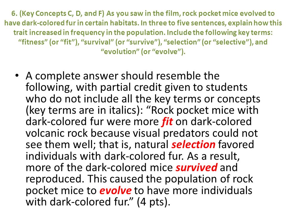 Natural Selection Include These Notes In Your Notebook Ppt Video Online Download Natural Selection Include These Notes In Your Notebook Ppt Video Online Download