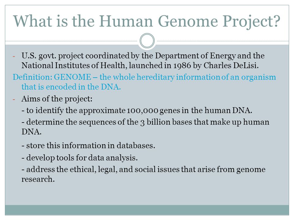 human genome project essay