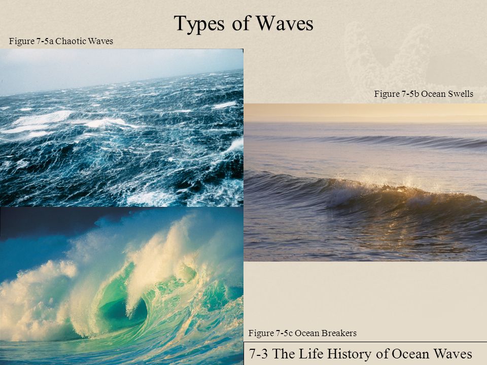 Chapter 7 Waves In The Ocean Ppt Video Online Download