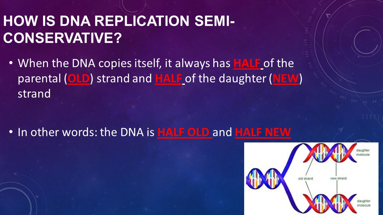 How is DNA Replication SEMI-CONSERVATIVE