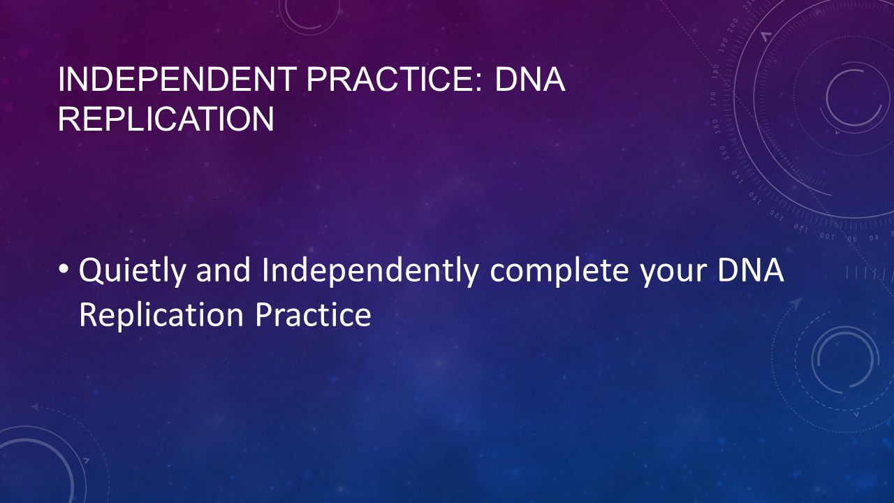 Independent Practice: DNA Replication