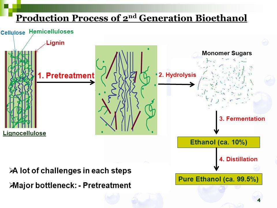 Master Thesis May 2010 New Pretreatment Methods for Lignocellulosic Residue  for Second Generation Bioethanol Production Student: Yadhu Nath Guragain  ID: - ppt download
