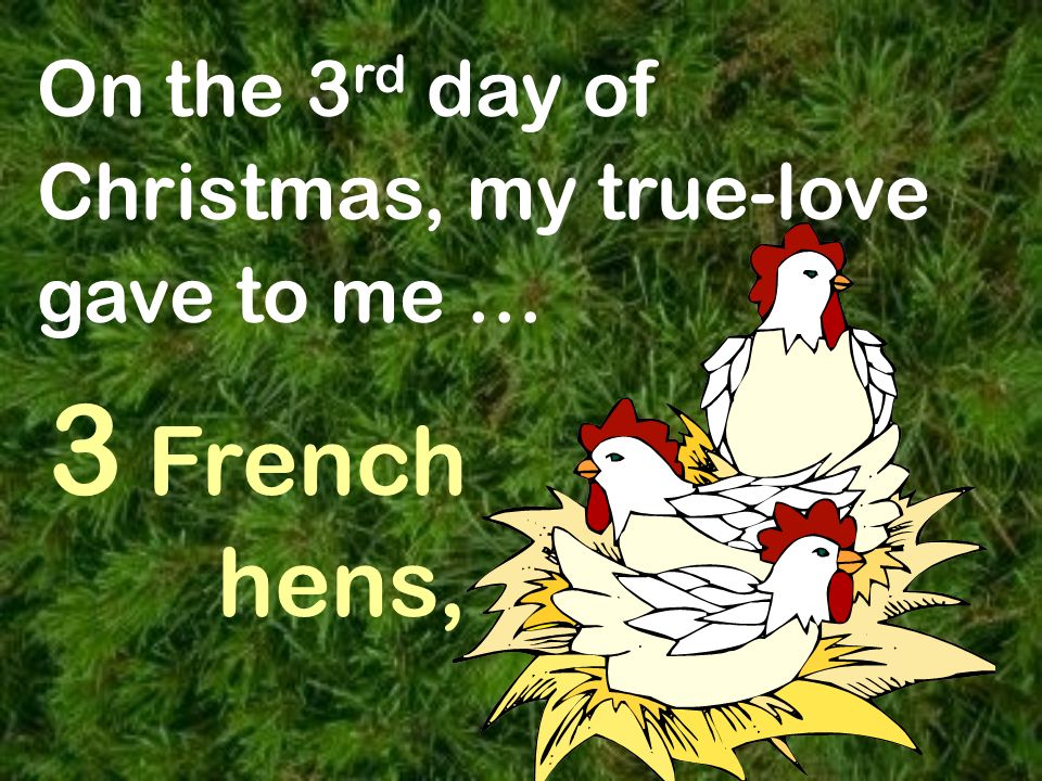 3rd Day Of Christmas