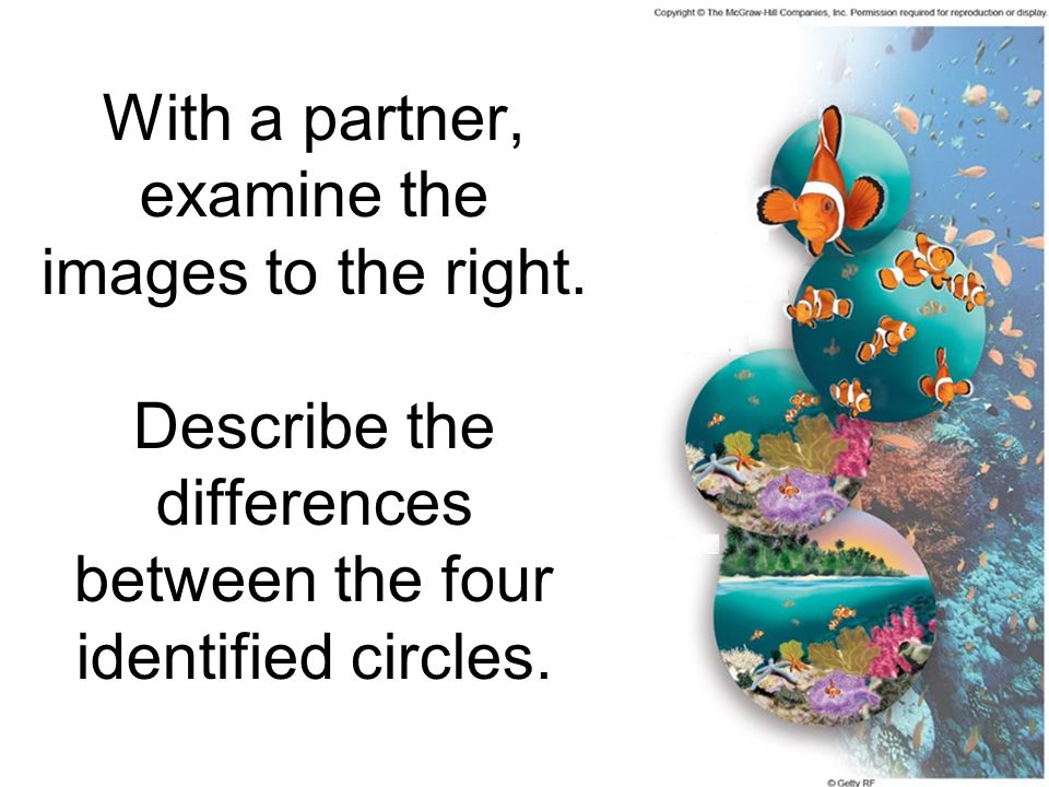With a partner, examine the images to the right