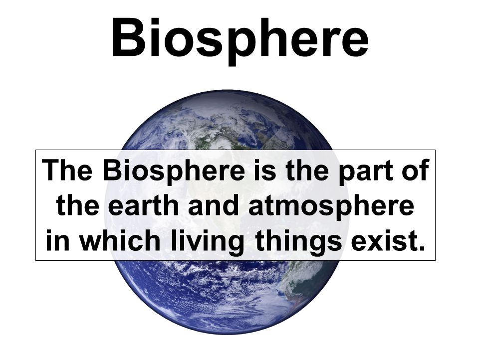 Biosphere The Biosphere is the part of the earth and atmosphere in which living things exist.