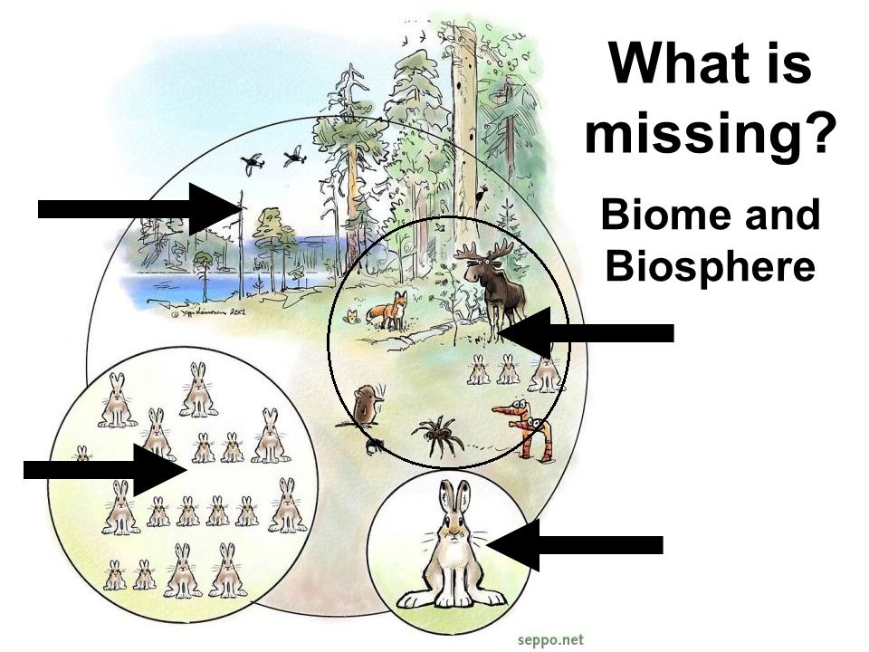 What is missing Biome and Biosphere