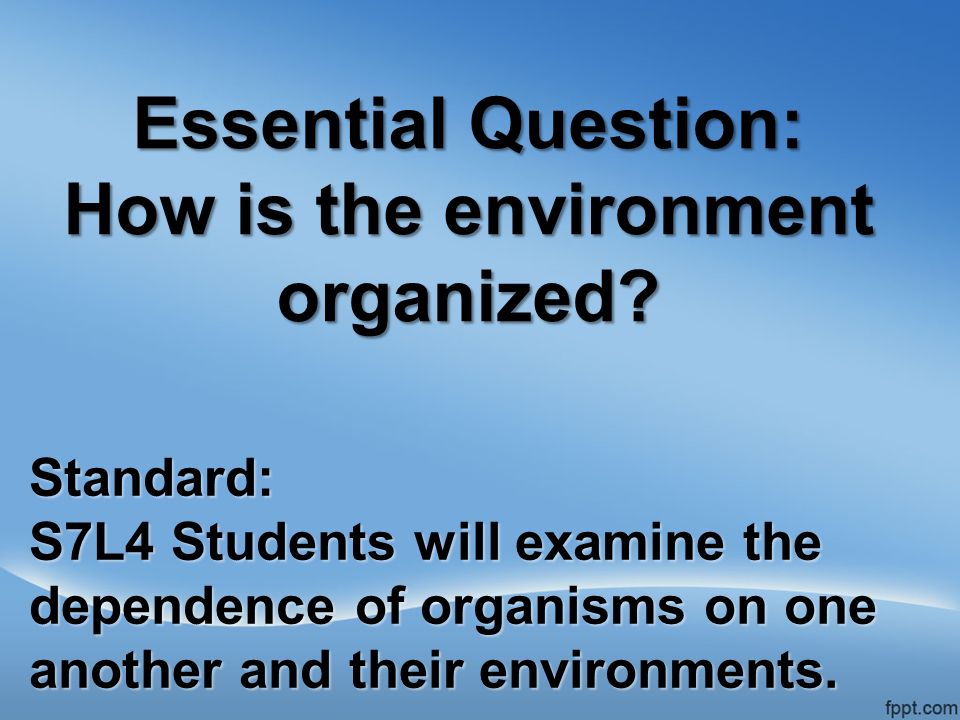 Essential Question: How is the environment organized