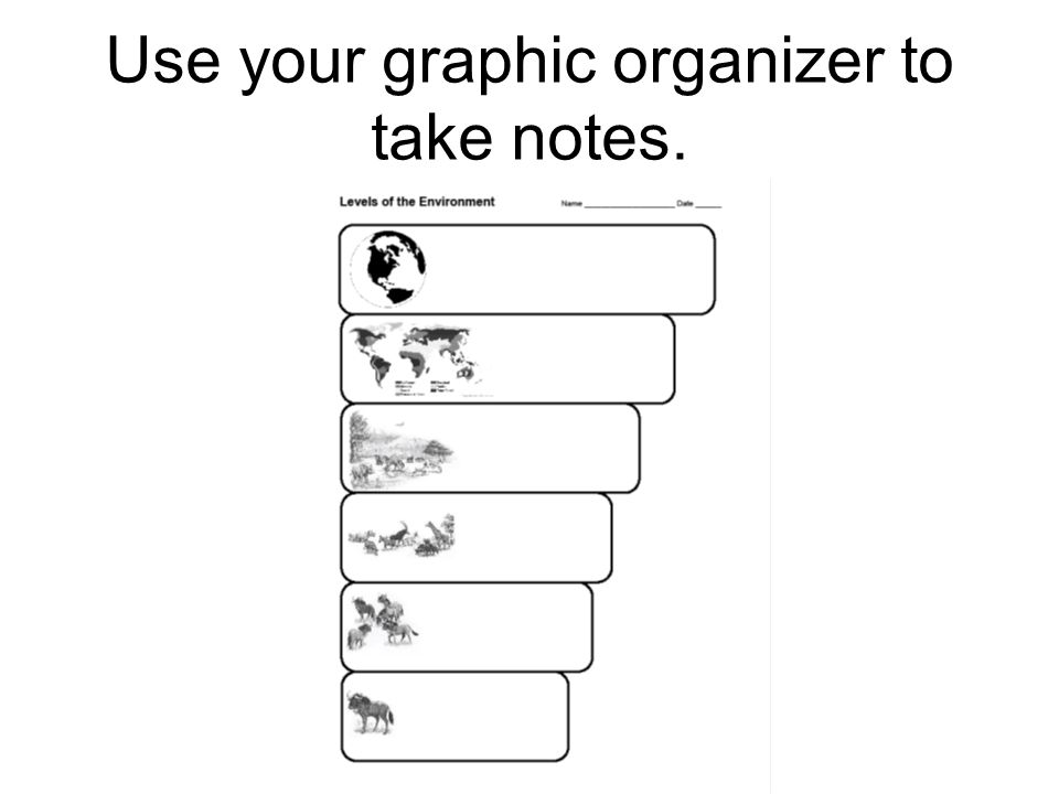 Use your graphic organizer to take notes.