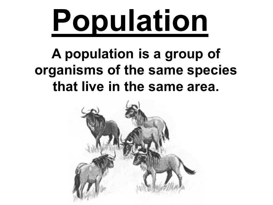 Population A population is a group of organisms of the same species that live in the same area.