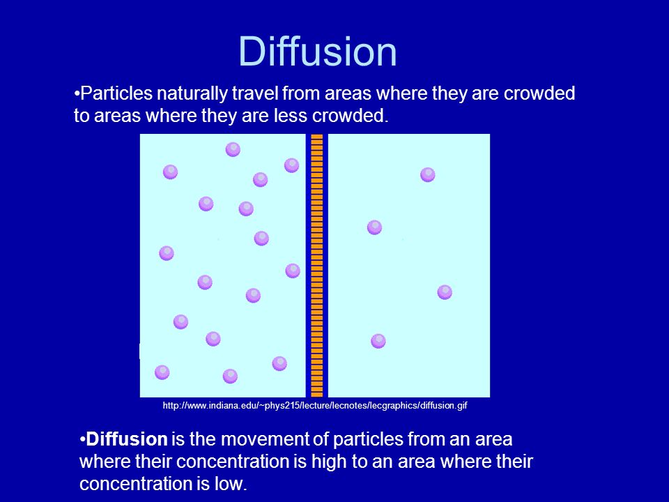 Stable diffusion картинки