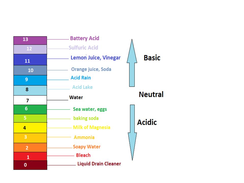 Ph Chart Acid And Base