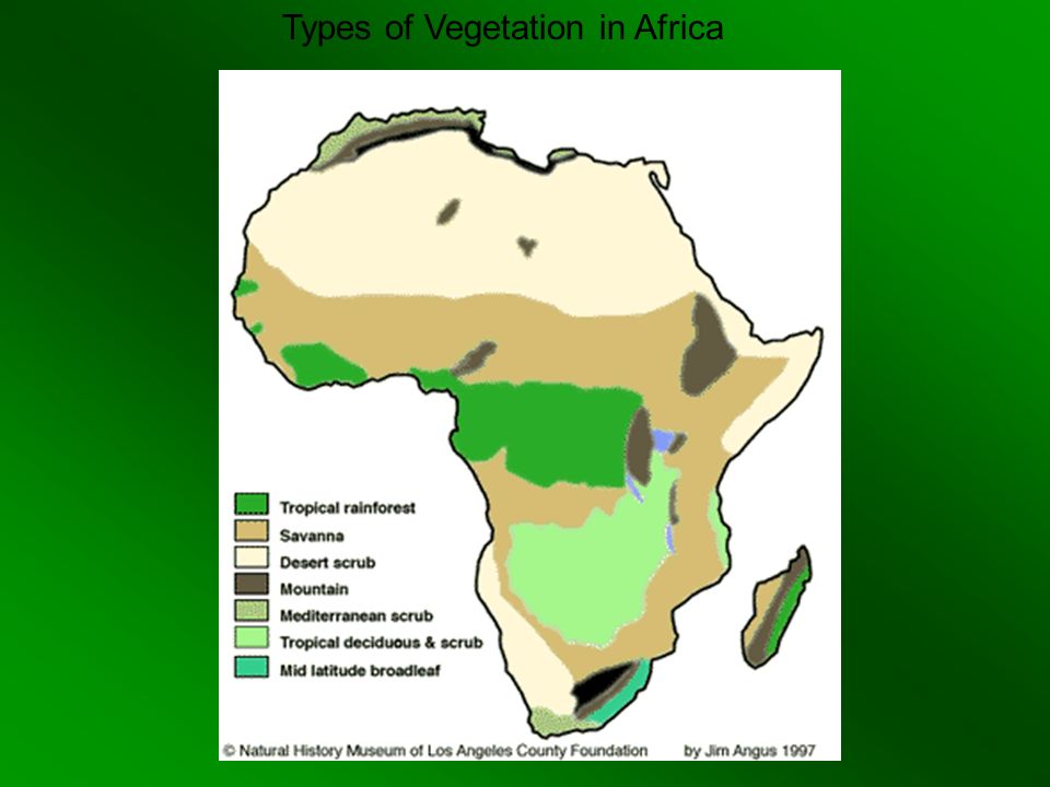 Types of Vegetation in Africa