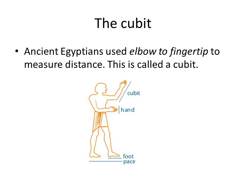 Linear Measurement And Perimeter Ppt Video Online Download