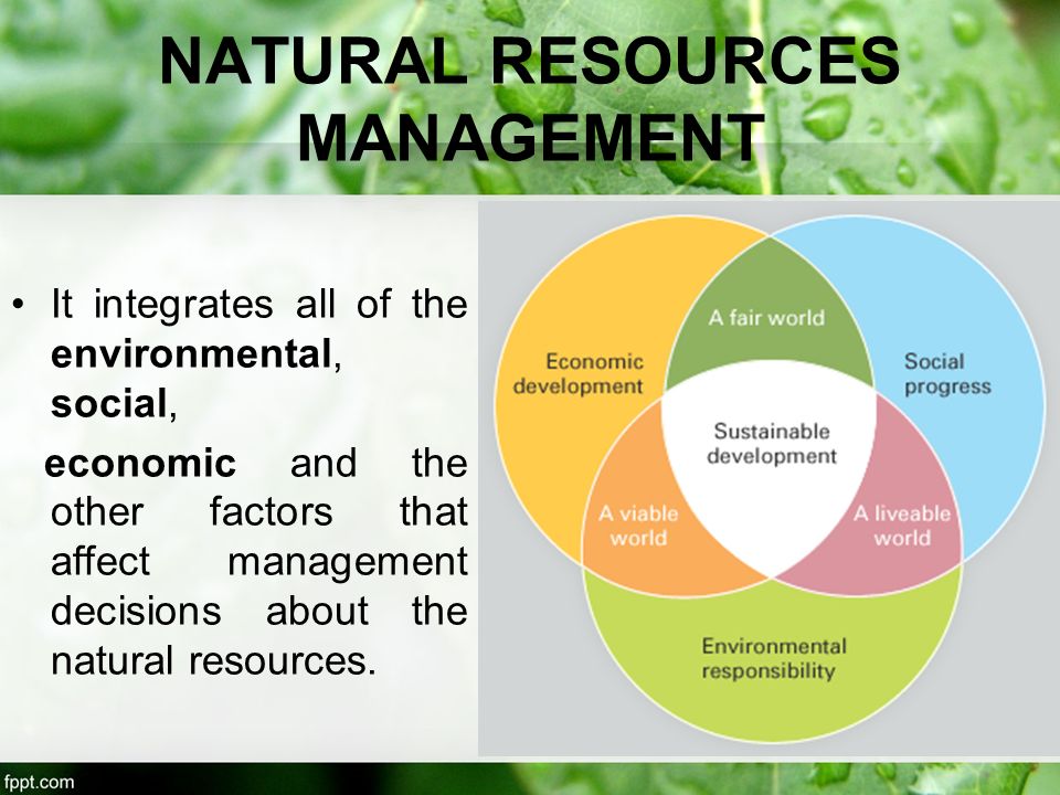 Natural resource use. Classification of natural resources. Природные ресурсы. Natural resources and environment. Природные ресурсы на английском.