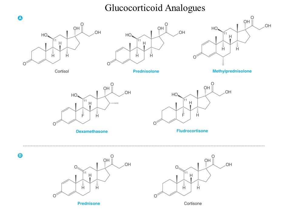 Glucocorticoid Analogues