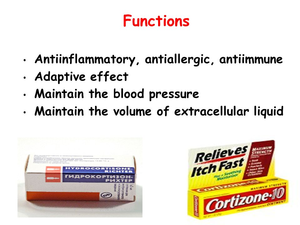 Functions Antiinflammatory, antiallergic, antiimmune Adaptive effect