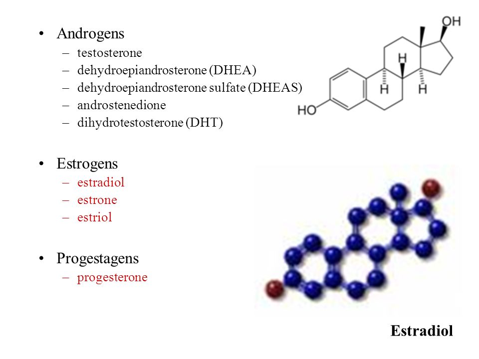 Androgens Estrogens Progestagens Estradiol testosterone