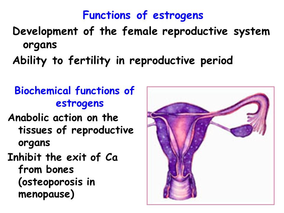 Functions of estrogens Biochemical functions of estrogens