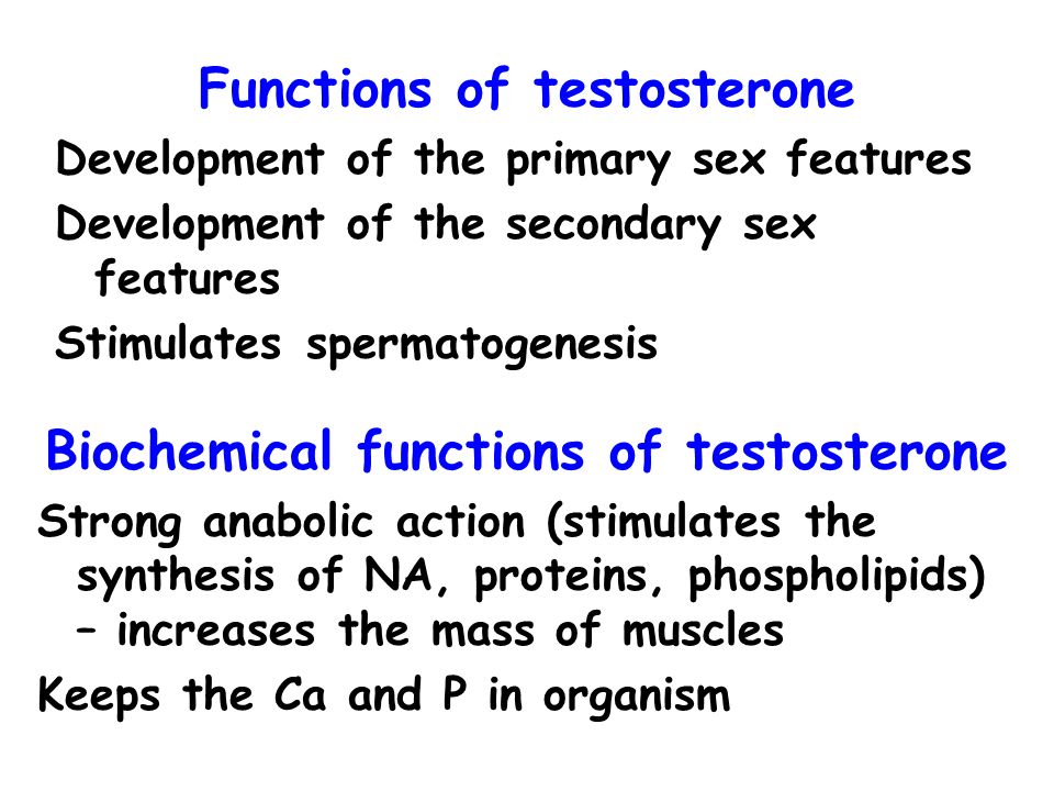 Functions of testosterone Biochemical functions of testosterone