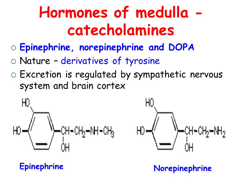 Hormones of medulla - catecholamines