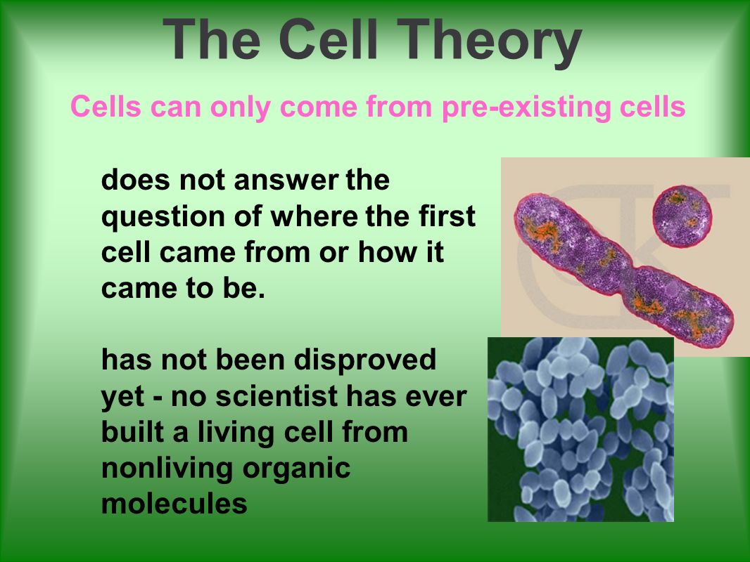 Cells can only come from pre-existing cells