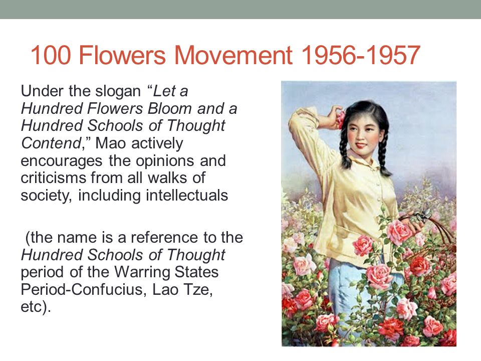 Chinese Nationalism: Hundred Flowers Campaign Teaching, 45% OFF