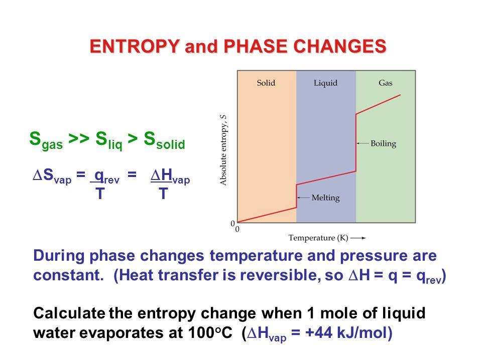 ENTROPY and PHASE CHANGES.