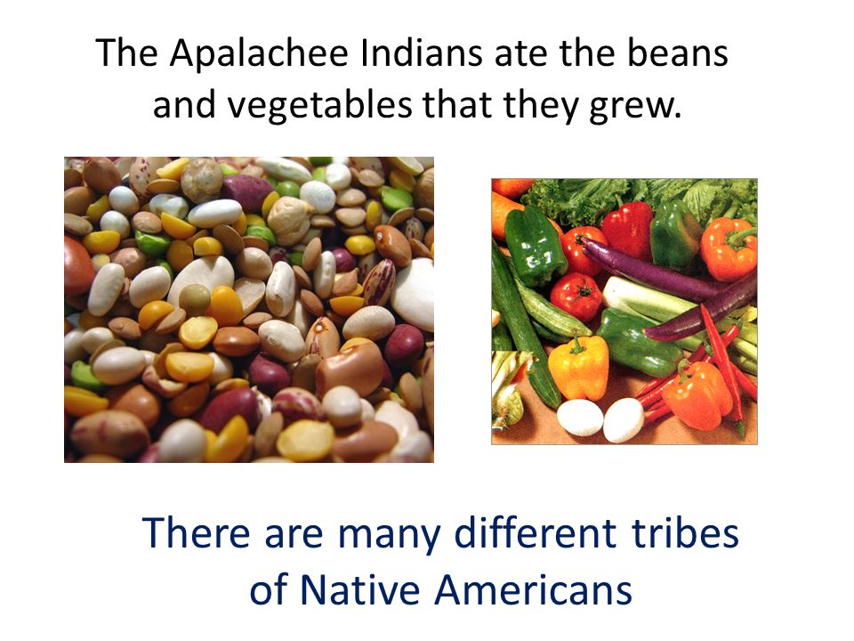 apalachee indians location