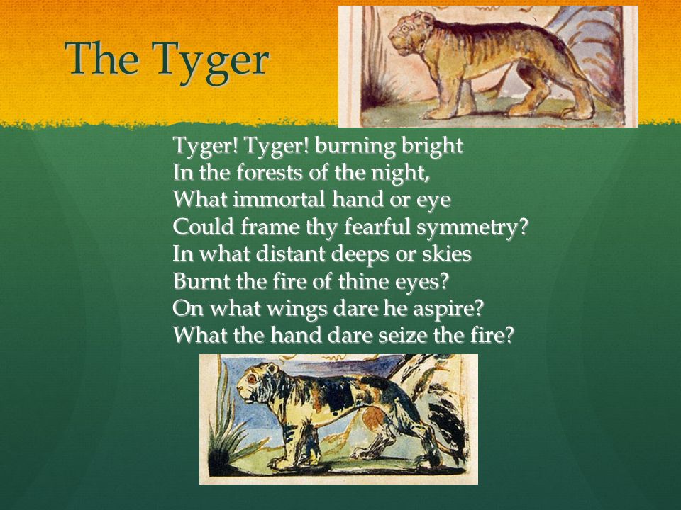 the symmetry of the tyger is enhanced by the