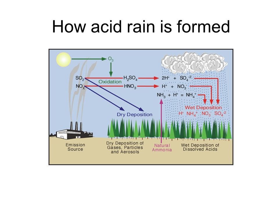 Acid rain перевод 7 класс. Кислотные дожди. Что такое кислотный дождь на английском. Сообщение acid Rain. Acid Rain 7 класс.
