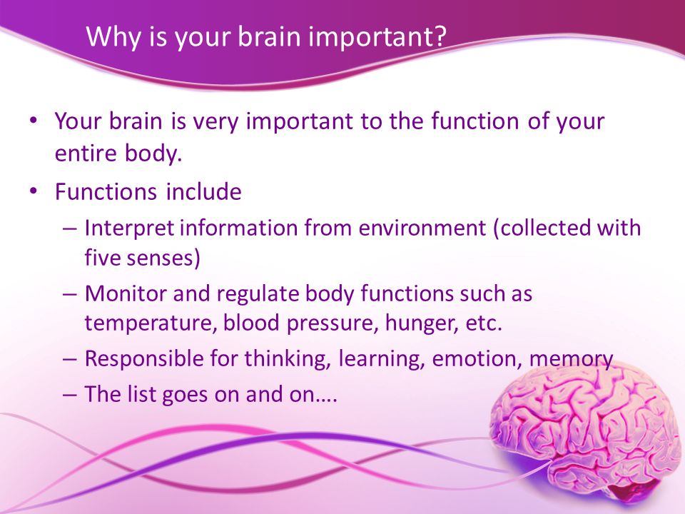 Why is your brain important