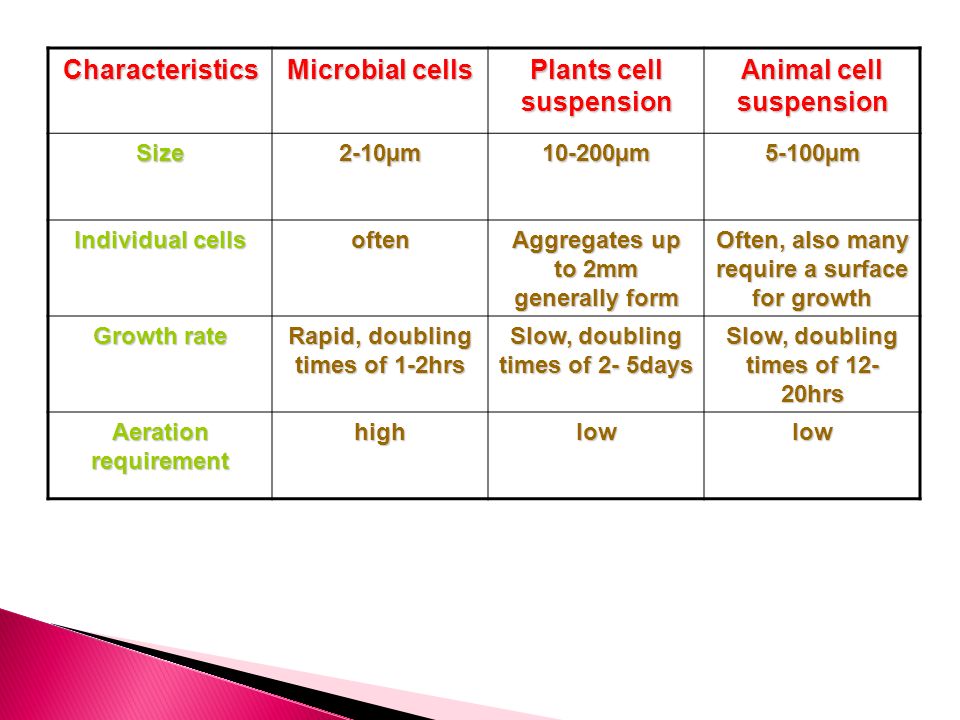 DIFFERENTIATE BETWEEN PLANT, ANIMAL AND MICROBIAL BIOREACTOR - ppt video  online download