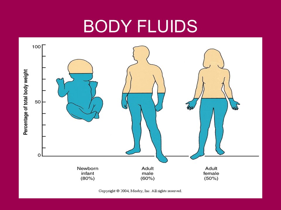 Body fluids. Body Fluids - body Fluids (2004). Bodily Fluids ref. Human Fluids.