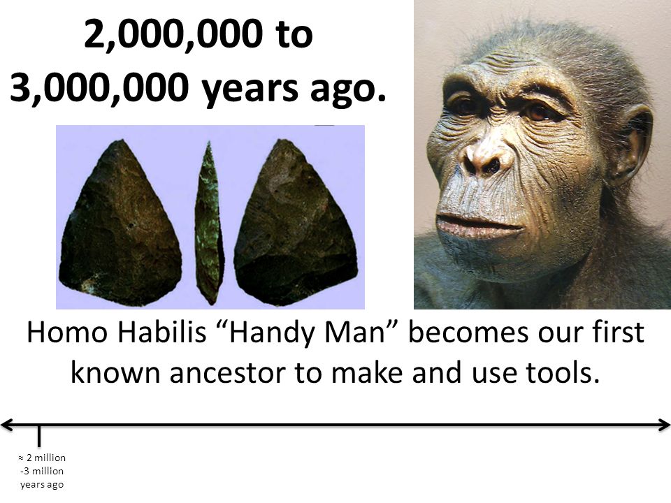 2 Million 3 Million Years Ago Ppt Video Online Download 2 Million 3 Million Years Ago Ppt Video Online Download