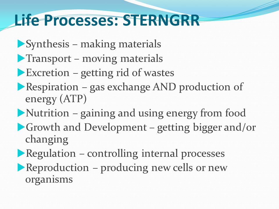 Life Processes: STERNGRR