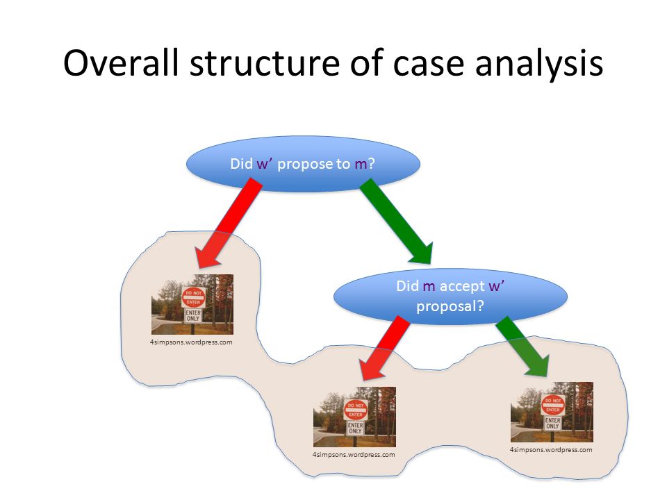 Overall structure of case analysis