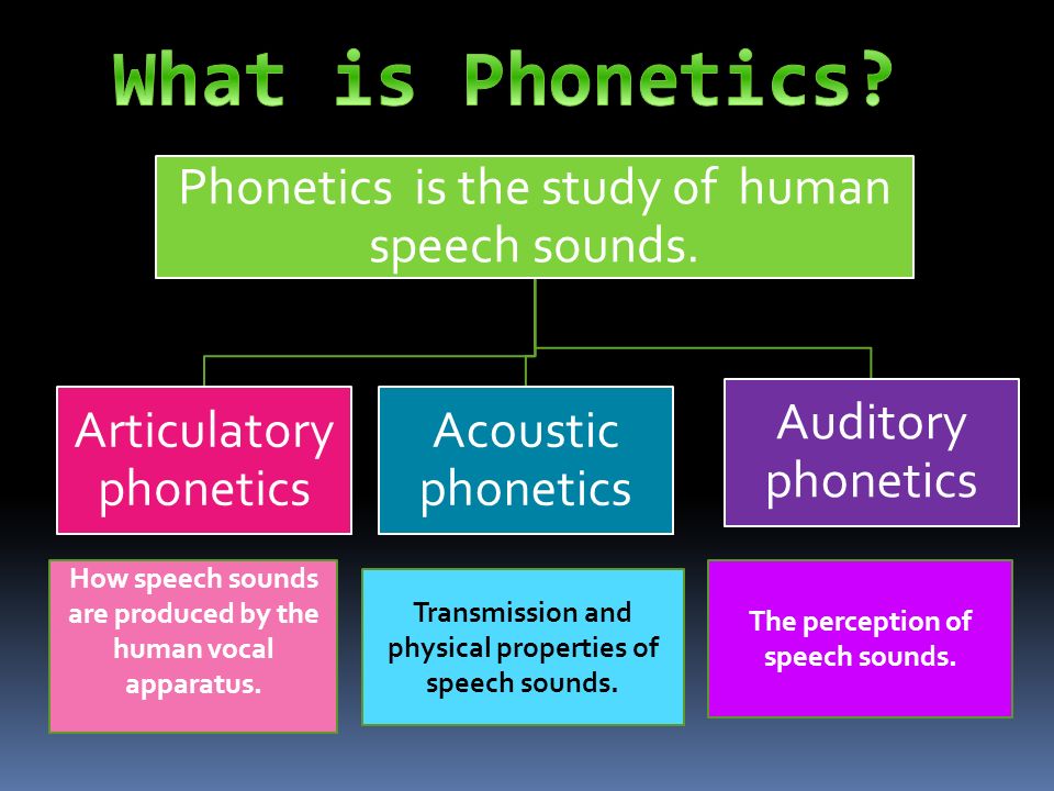 What is Phonetics? 