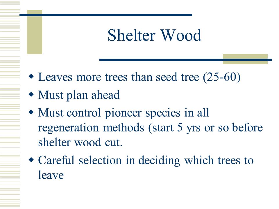 Shelter Wood Leaves more trees than seed tree (25-60) Must plan ahead