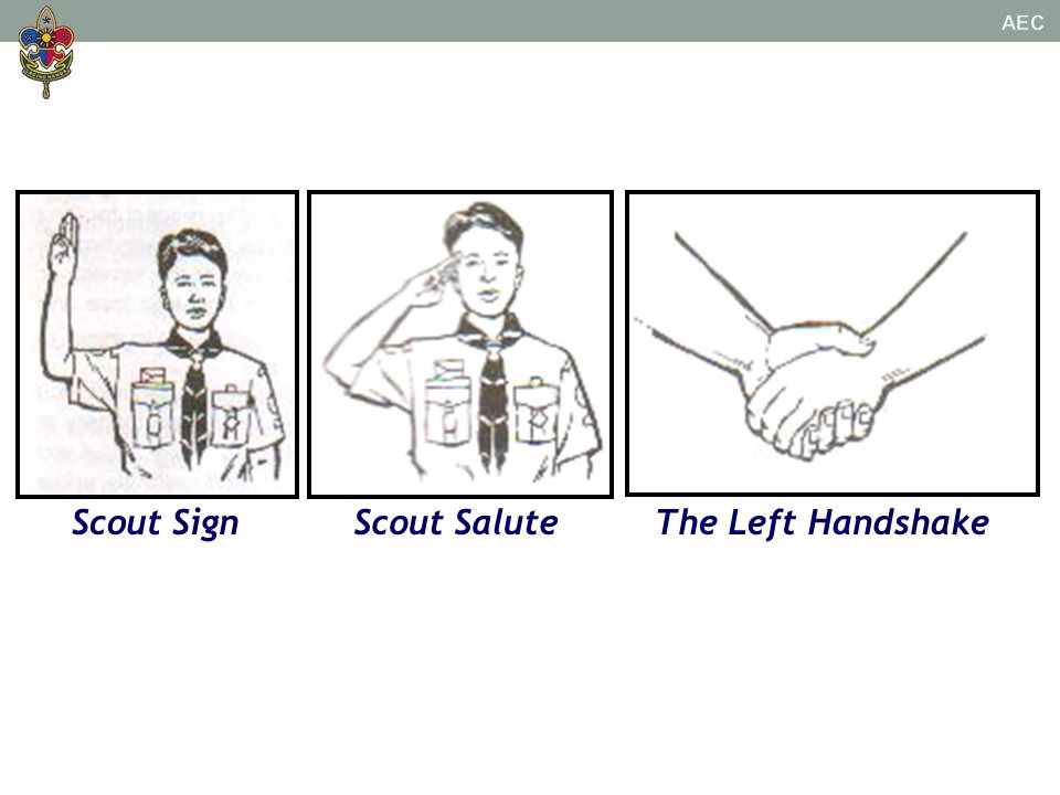 scout whistle calls