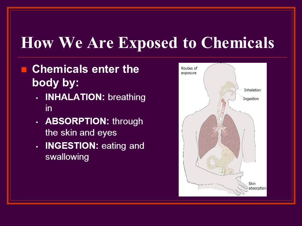 THE EFFECTS OF HAZARDOUS MATERIALS ON THE BODY - ppt video online download