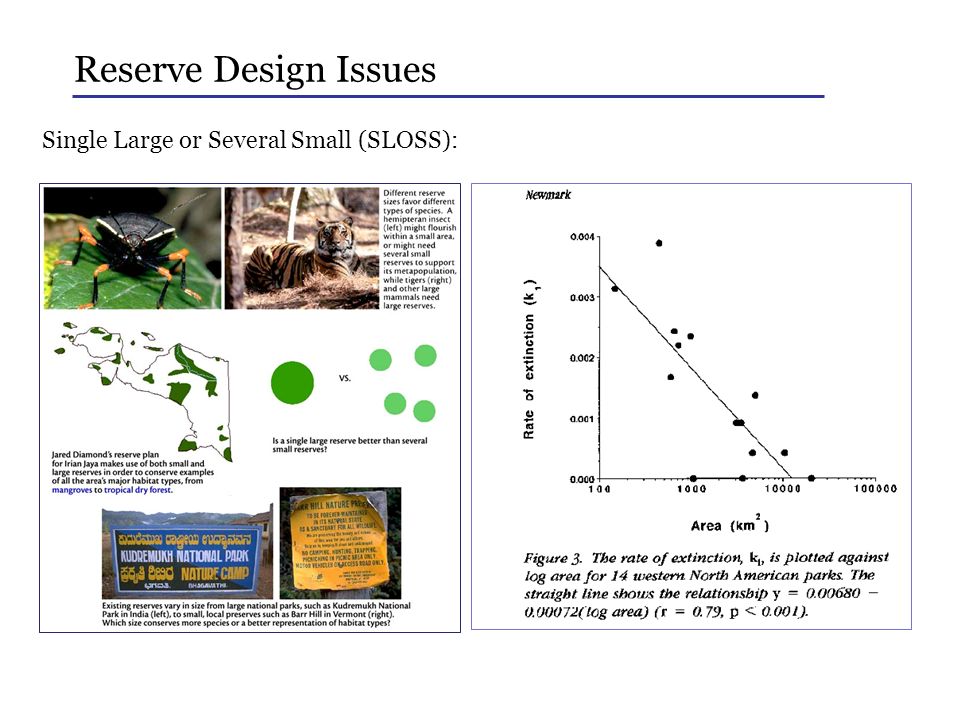 Reserve Design Issues Single Large or Several Small (SLOSS):