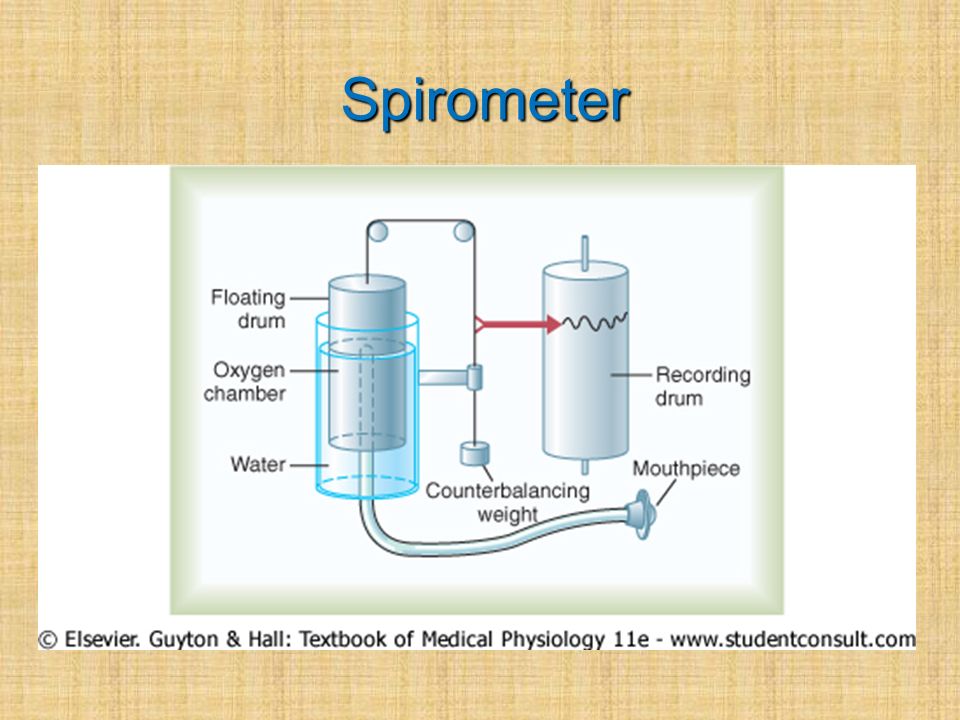 Respiratory physiology - ppt video online download