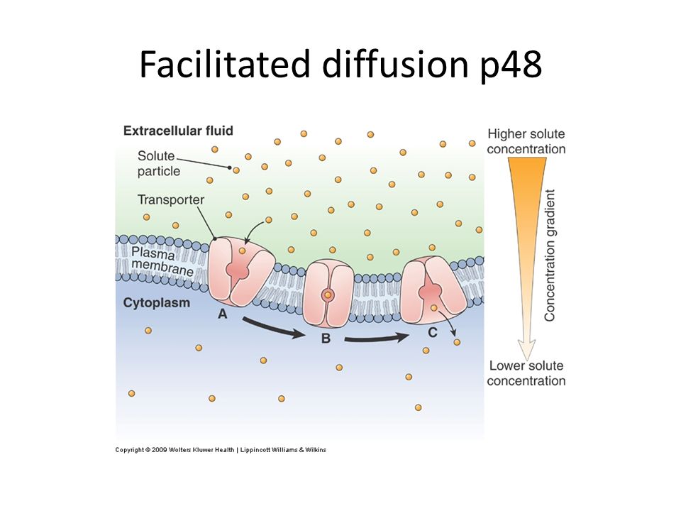 Chap 3 Cells And Their Functions - Ppt Video Online Download