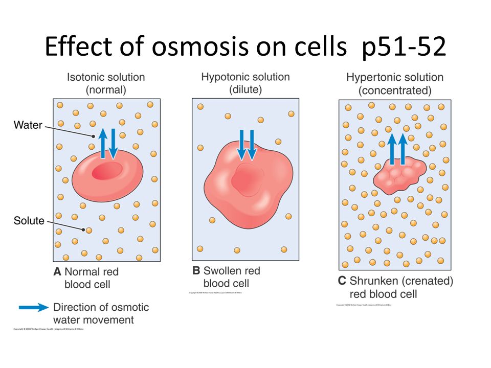 Chap 3 Cells and their functions - ppt video online download