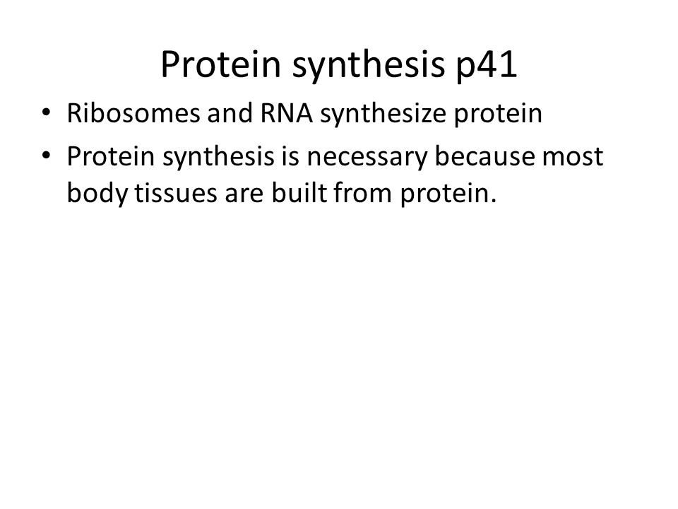 Protein synthesis p41 Ribosomes and RNA synthesize protein