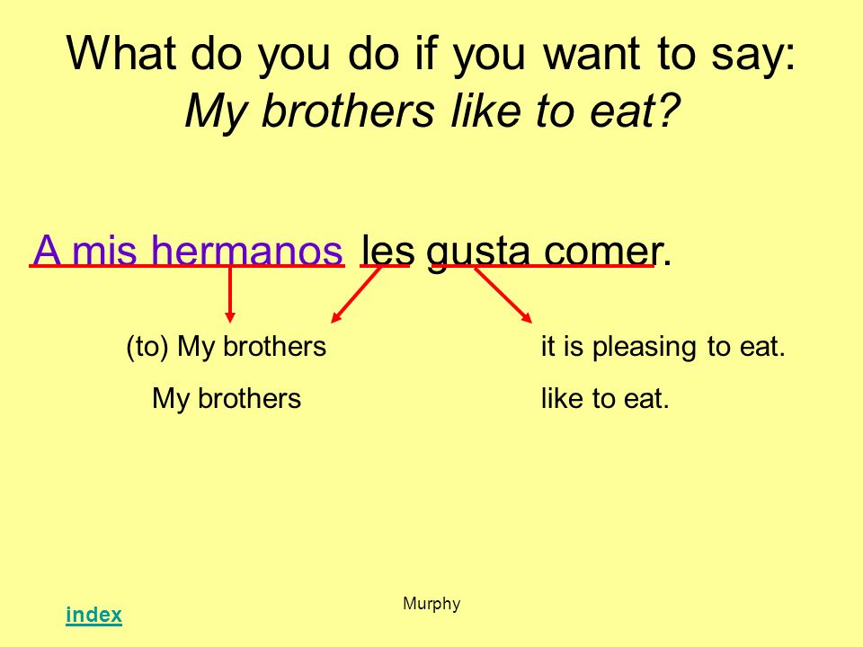What do you do if you want to say: My brothers like to eat