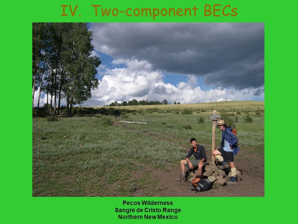 IV. Two-component BECs Pecos Wilderness Sangre de Cristo Range