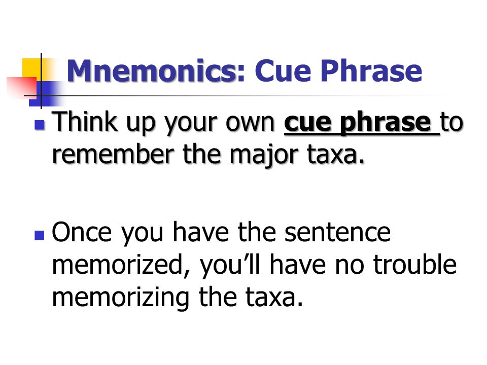 Mnemonics: Cue Phrase Think up your own cue phrase to remember the major taxa.