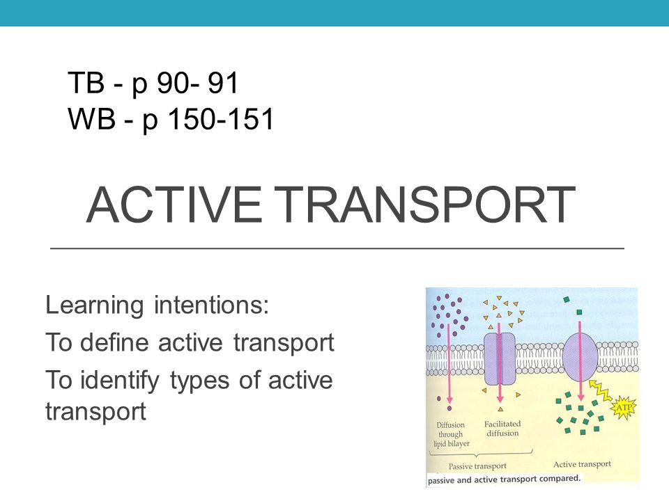 Active transport. Passive transport. Activity definition