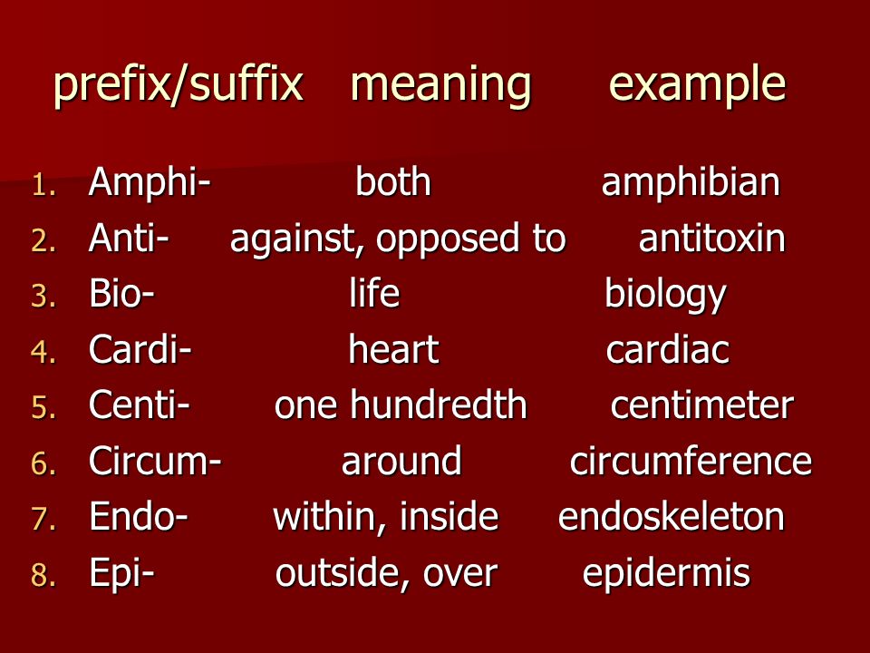 Path prefixes. Suffix. Prefix. Meaning of suffixes. Common suffix and prefixes.